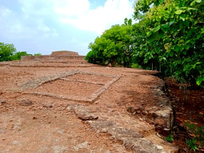 2nd_century_Buddhist_site,_Kodavali_Andhra_Pradesh_-_02