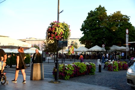 6486_Rynek_Kosciuszki_in_Bialystok,_August_2019