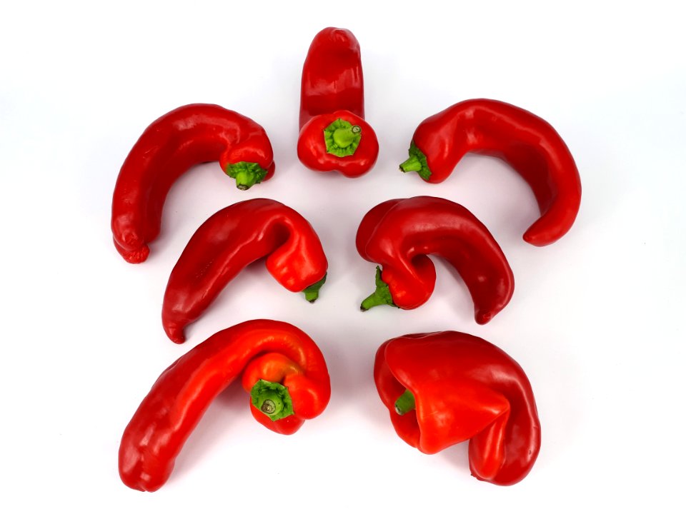 7_x_Bent_red_capsicum_2017_B