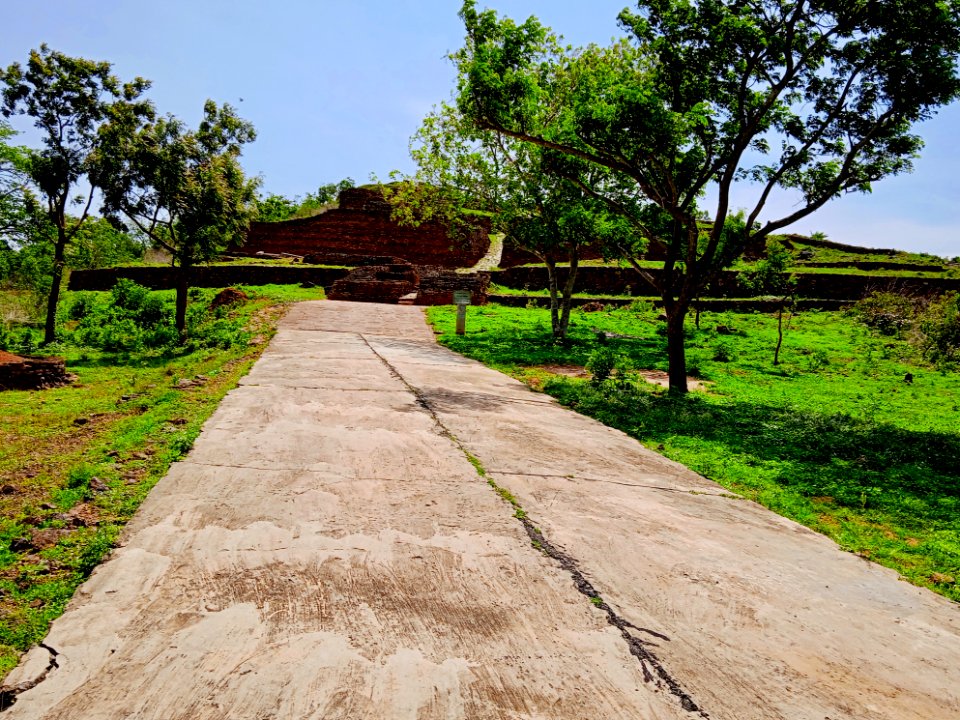 2nd_century_BCE_to_8th_century_CE_Salihundam_Buddhist_site,_Andhra_Pradesh_-_4