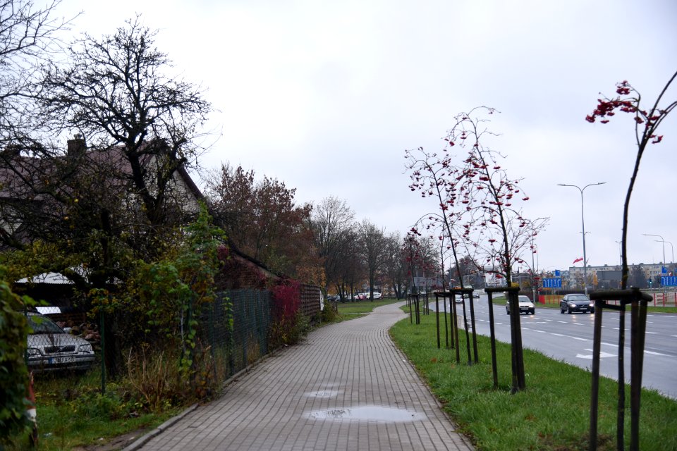 6942_November_2019_in_Bialystok
