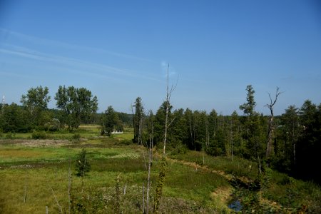 6540_Podlaskie_Województwo_1_September_2019