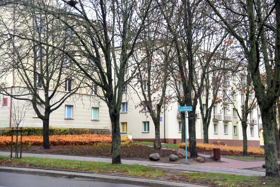 6876_November_2019_in_Białystok