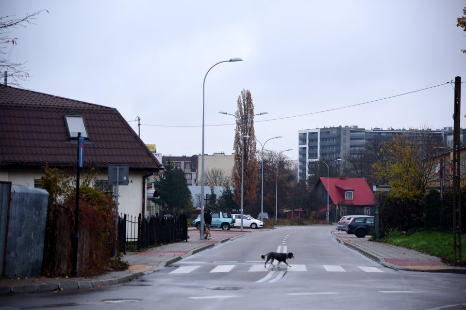 6895_November_2019_in_Bialystok