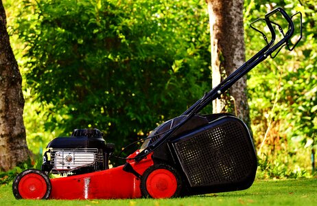 Cut grass grass surface garden photo