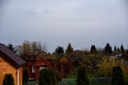 6760_Rodzinny_Ogród_Działkowy_im._Adama_Mickiewicza_November_2019