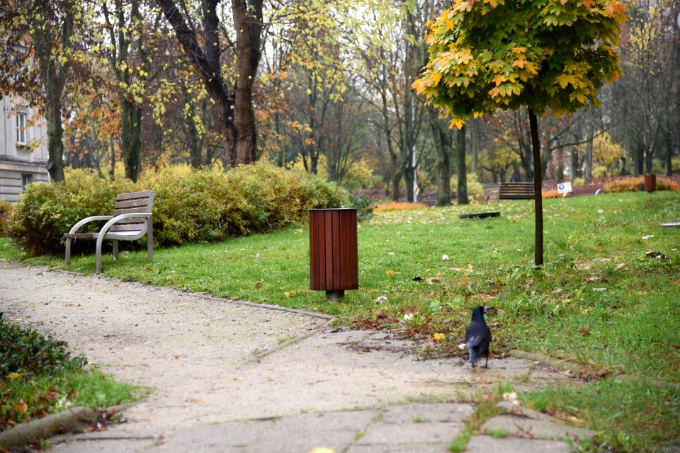 6879_November_2019_in_Bialystok