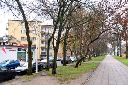 6953_Zwierzyniecka_Street_in_Białystok_November_2019