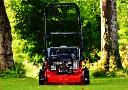 Cut grass grass surface garden photo