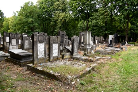 6011_Łódź_Jewish_Cemetery