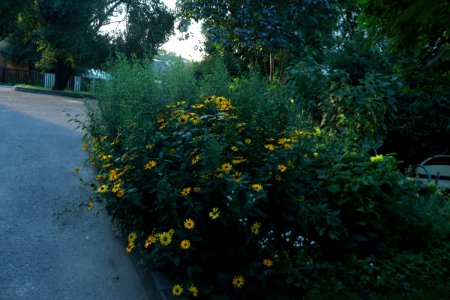 7493_August_2018_in_Hrodna_Belarus