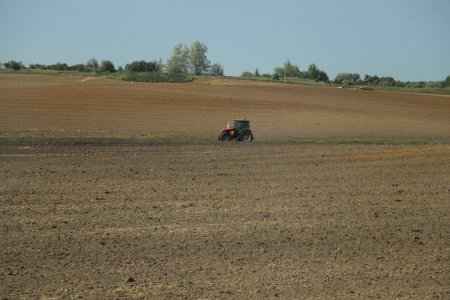 7385_August_2018_in_Belarus