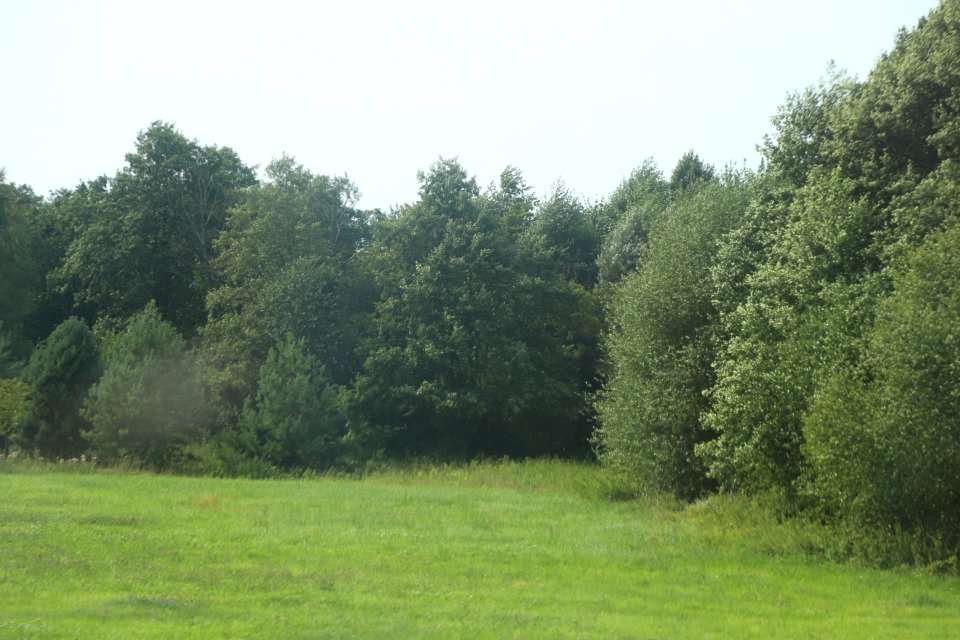 7399_August_2018_in_Belarus