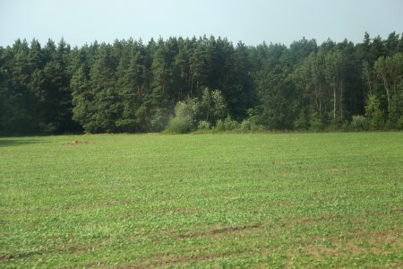 7403_August_2018_in_Belarus