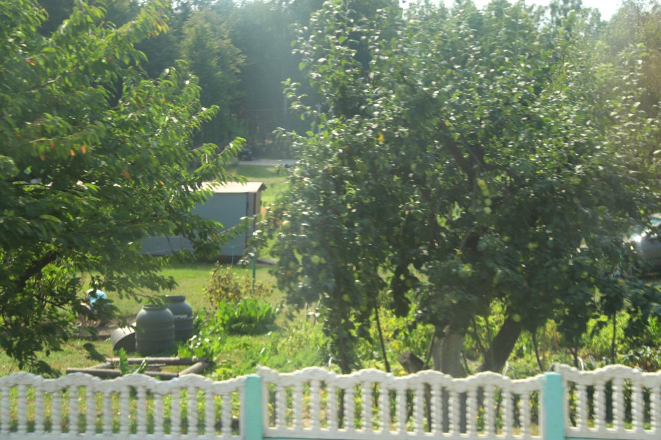 7395_August_2018_in_Belarus