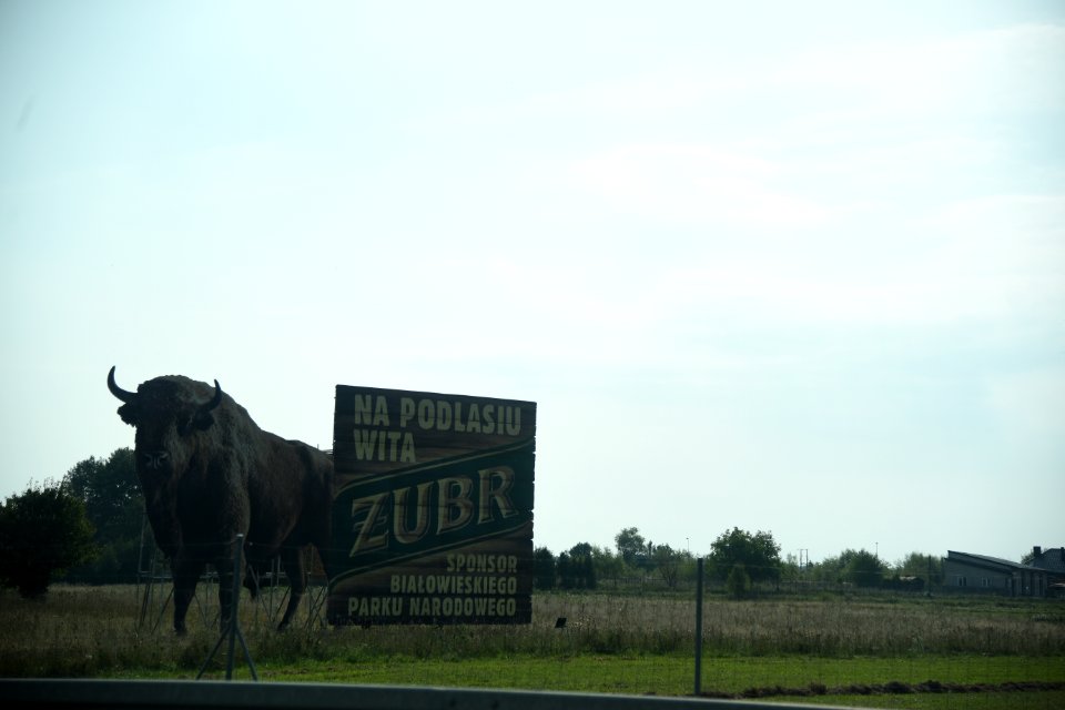 6247_Poldaskie_Voivodeship_August_2019_Road_S8