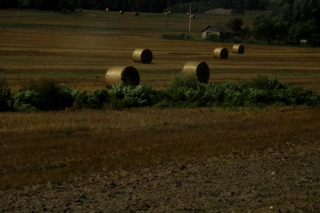 7376_August_2018_in_Belarus