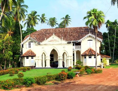Cottage white nature
