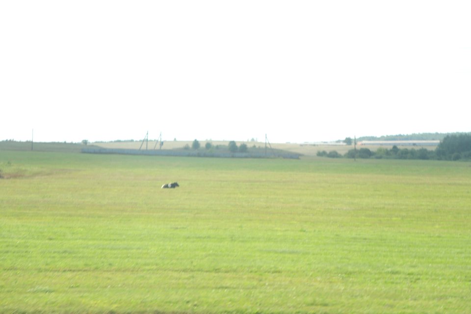 7397_August_2018_in_Belarus