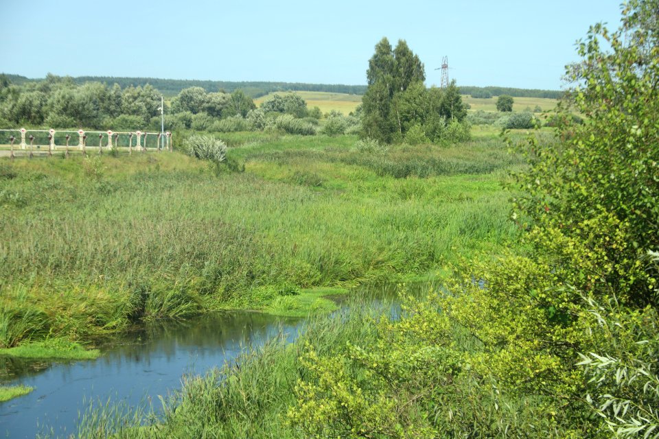 7347_August_2018_in_Podlaskie_Voivodeship