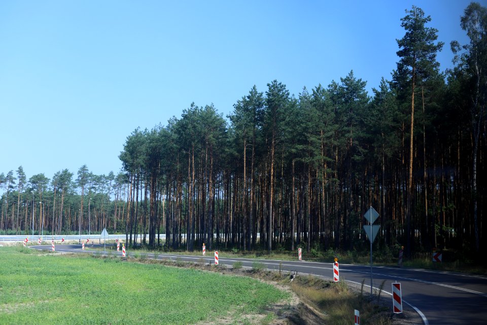 7078_August_2018_in_Masovian_Voivodeship