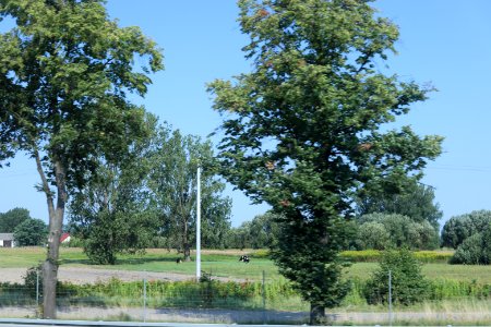 7057_August_2018_in_Poland