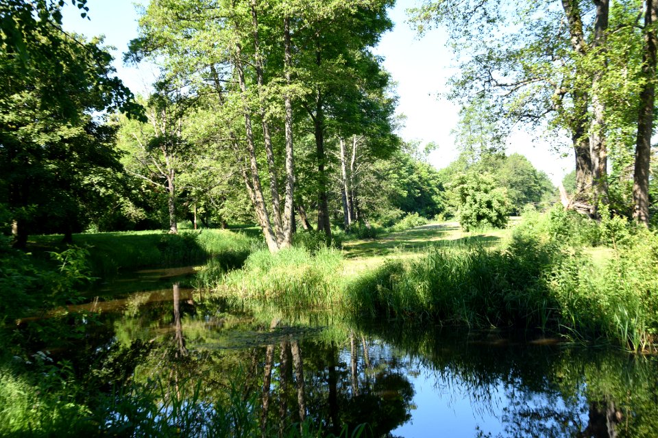 7229_June_2021_in_Białowieża
