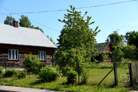 7212_June_2021_in_Białowieża