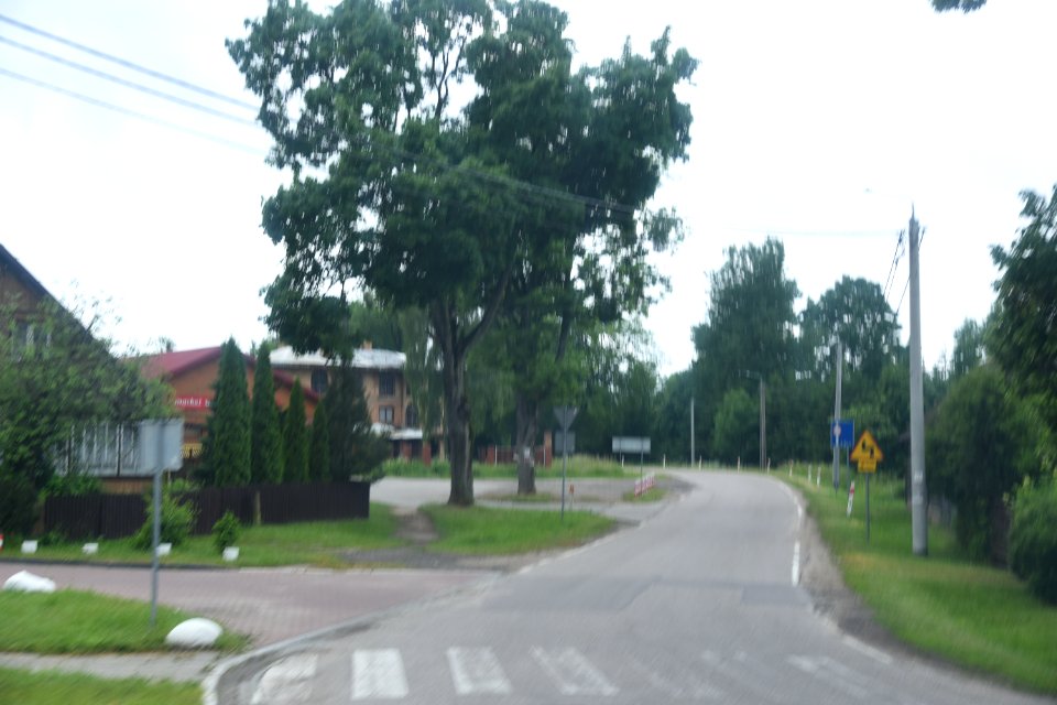 7280_June_2021_in_Białowieża