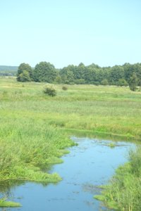 7344_August_2018_in_Podlaskie_Voivodeship