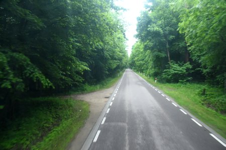 7282_Hajnówka_-_Białowieża_road