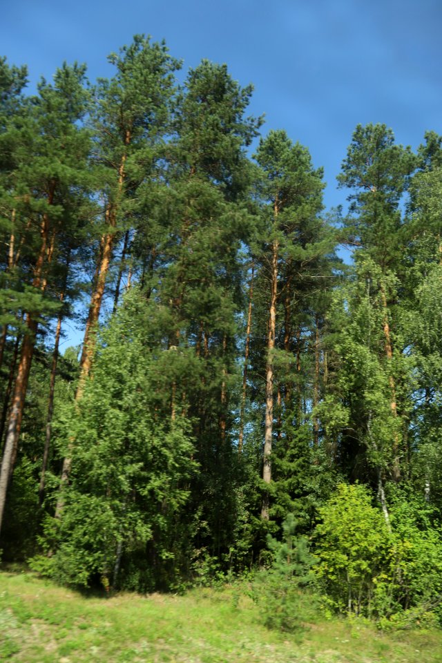 7306_August_2018_in_Podlaskie_Voivodeship