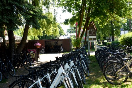 7231_June_2021_in_Białowieża