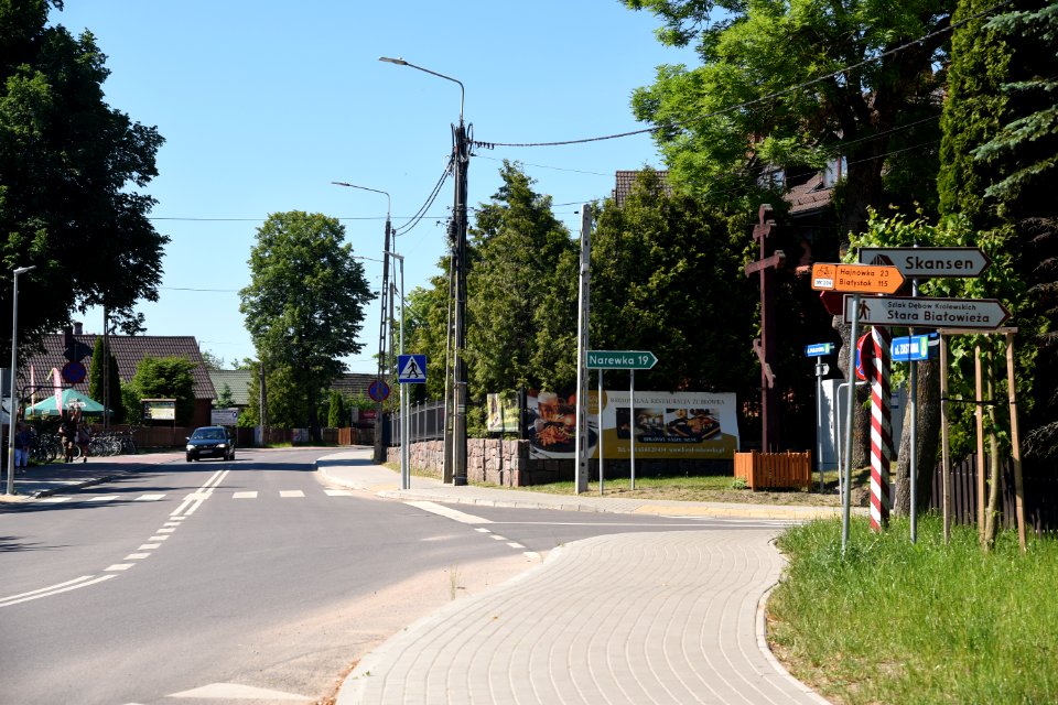 7232_June_2021_in_Białowieża