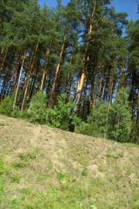7305_August_2018_in_Podlaskie_Voivodeship