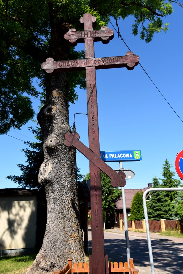 7233_June_2021_in_Białowieża