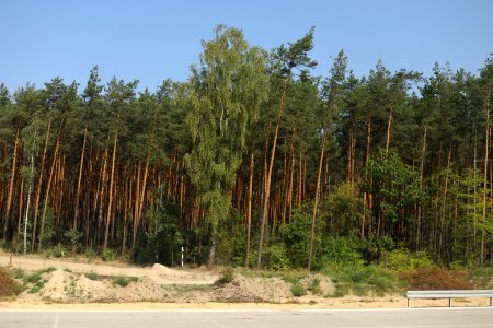 7099_August_2018_in_Masovian_Voivodeship