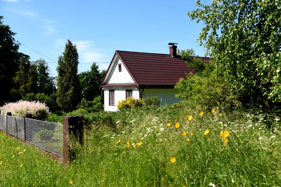7209_June_2021_in_Białowieża