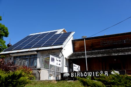7221_June_2021_in_Białowieża