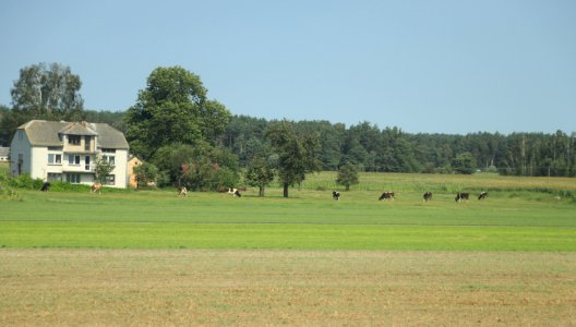 7158_August_2018_in_Podlaskie_Voivodeship
