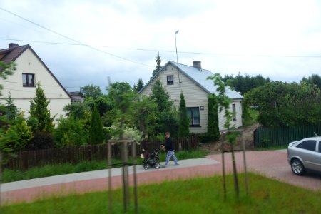 7279_June_2021_in_Białowieża