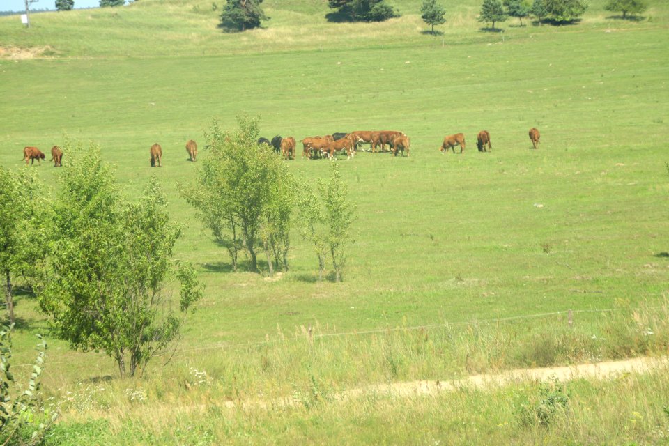 7311_August_2018_in_Podlaskie_Voivodeship