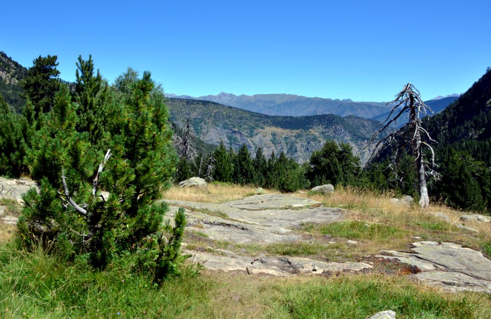 73_Vall_de_Peguera_07082016