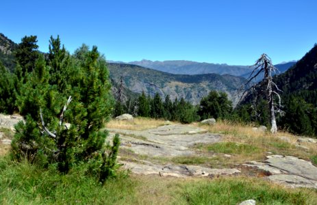 73_Vall_de_Peguera_07082016