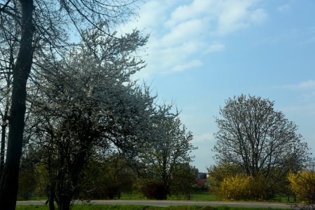 7136_30th_of_April_2021_in_Białystok