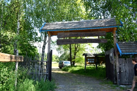 7238_June_2021_in_Białowieża