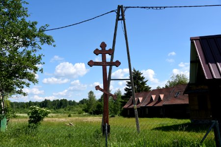 7240_June_2021_in_Białowieża