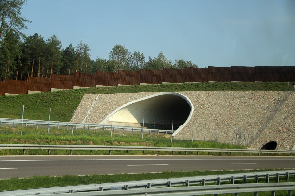7177_August_2018_in_Podlaskie_Voivodeship