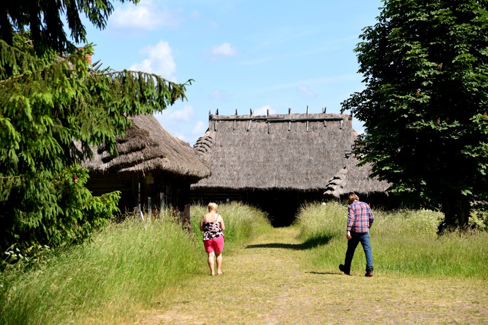 7239_June_2021_in_Białowieża