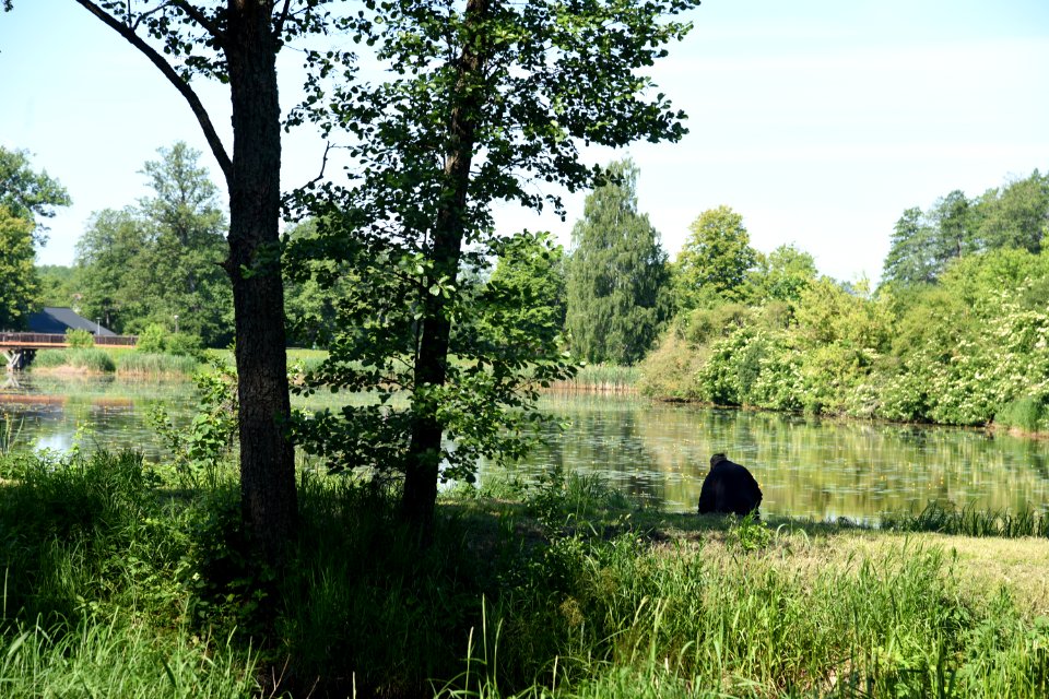 7227_June_2021_in_Białowieża